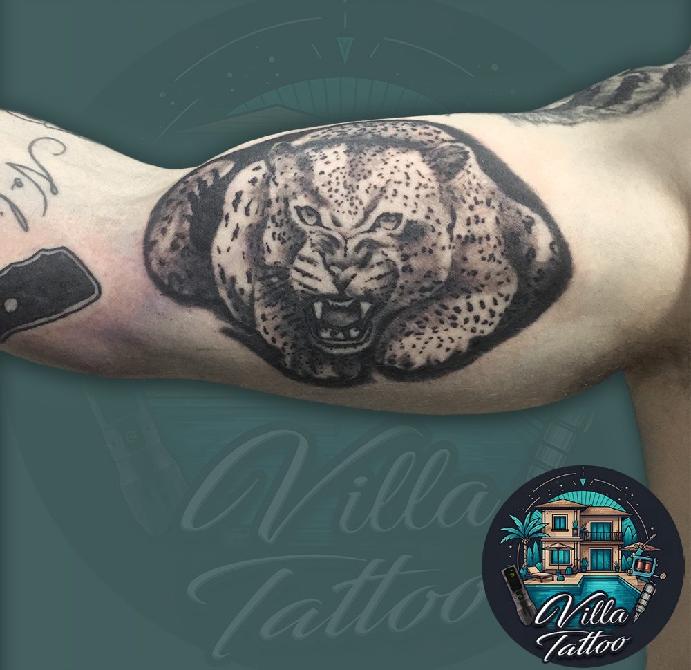 Panther & Jaguar Tattoo In Up Arm