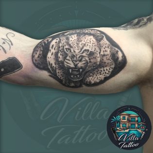 Panther & Jaguar Tattoo In Up Arm